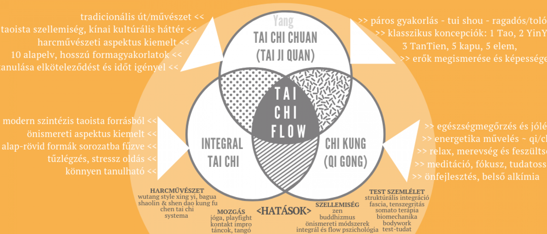 Tai Chi flow - módszer, iskola, közösség